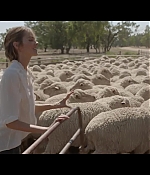 isabellucasfancom_lifethroughwool_201.jpg