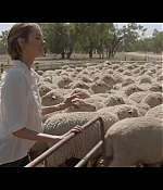 isabellucasfancom_lifethroughwool_202.jpg